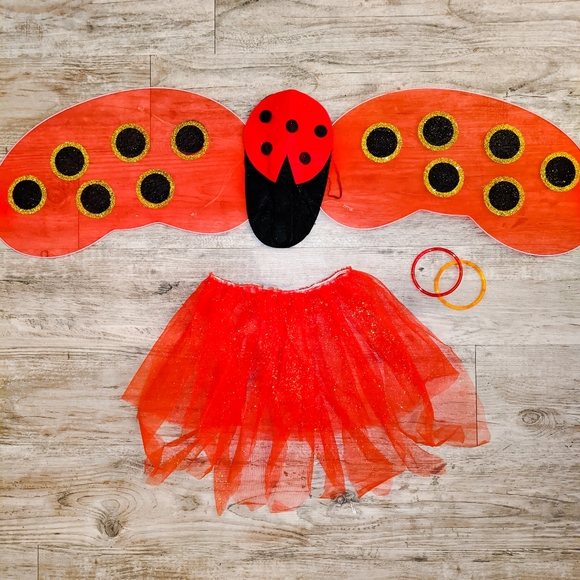 Disney Other - LAST One! Kids Ladybug Costume Brand NWOT